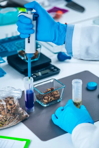 Лаборатория Тестированию Кормов Домашних Животных Микробиолог Доказал Наличие Бактерий Сухом — стоковое фото