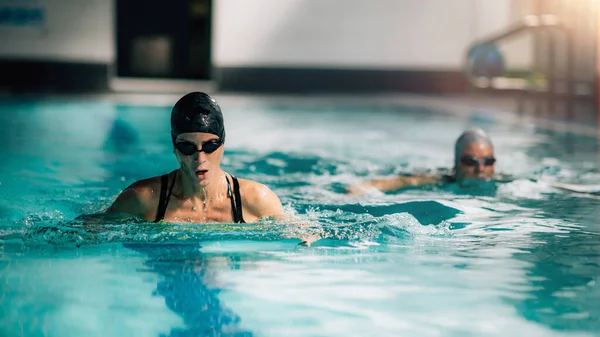 Kapalı Yüzme Havuzunda Birlikte Yüzen Kadınlar — Stok fotoğraf
