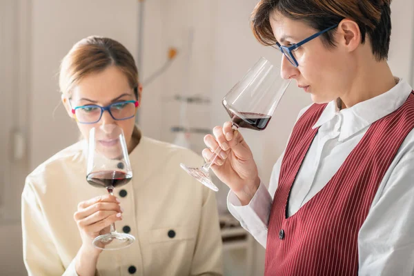 ワインの官能評価 ワイン教育ワークショップの研修生は ワインの香りを評価し 欠陥やオフノートを識別することを学ぶ ガラスのワインを嗅ぎます — ストック写真