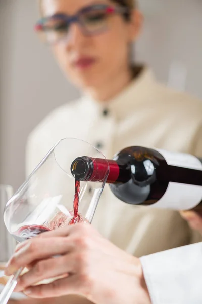 Erfarenhet Vinprovning Sommelier Häller Rött Vin Från Flaska Vinglas Visar — Stockfoto