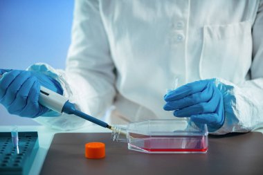 Biyoteknoloji. Laboratuvarda çalışan kadın bilim adamı