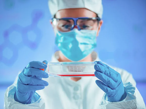 Egy Laborköpenyes Tudós Egy Sejtkultúrával Töltött Lombikot Tart Steril Körülmények — Stock Fotó