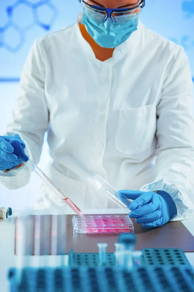 Biotecnologia Cientista Que Trabalha Laboratório Biotecnologia — Fotografia de Stock