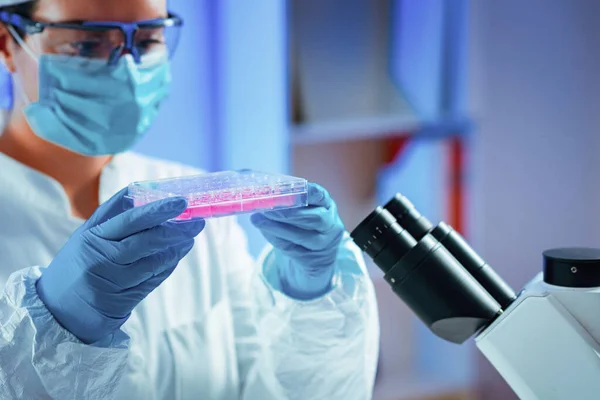 Stem Cell Researcher Working Laboratory Holding Well Plate — Stock Photo, Image