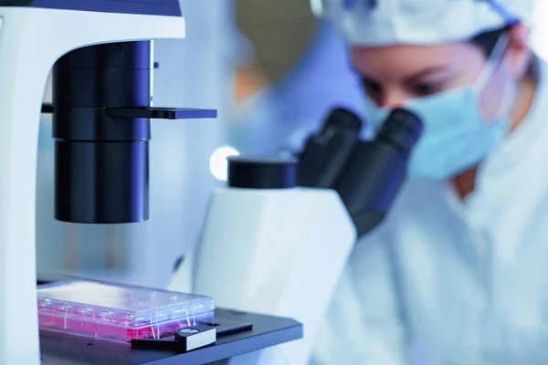 Ein Biowissenschaftlicher Forscher Untersucht Eine Zellkultur Unter Dem Mikroskop Und — Stockfoto