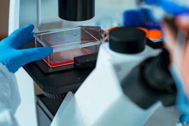 Laboratuvarda çalışan kadın biyoteknoloji bilim adamı