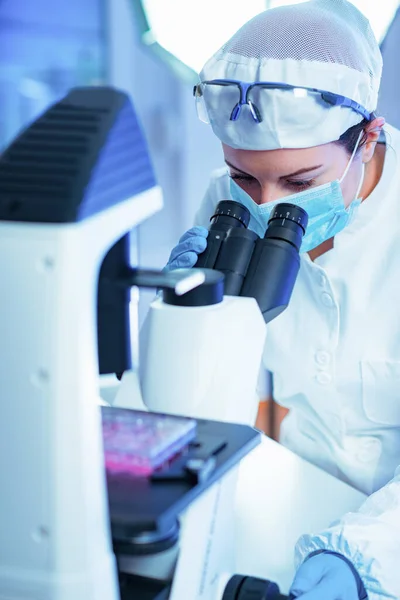 Stem Cell Researcher Working Laboratory — Stock Photo, Image