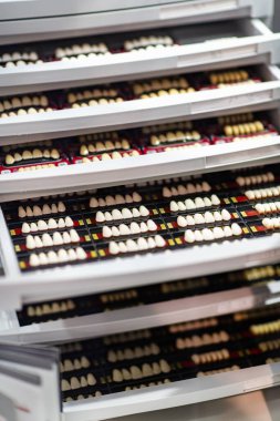 Doğal Diş Gölgeli Palet, Diş Rengi Rehberi.