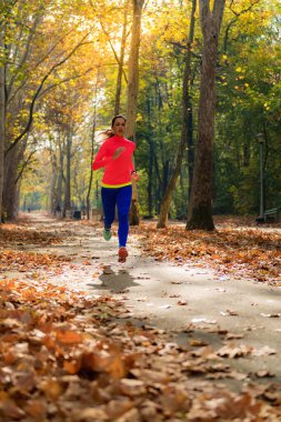 Woman Jogging in the Park in Fall