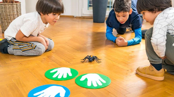 Children Playing Toy Spider Kindergarten — Stock Photo, Image