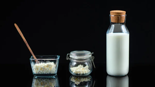 ケフィアプロバイオティクス粒子 ボールと瓶のケフィアの穀物 そして黒い背景にミルクの瓶 — ストック写真