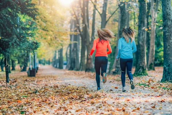 Friends Jogging outdoors, Public Park in Autumn. Rear view