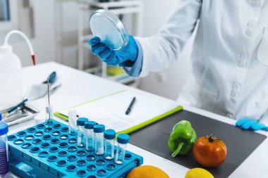 Mikrobiyoloji Laboratuvarında Gıda Kalite Değerlendirmesi, standart işletim prosedürünü izleyen mikrobiyolog doldurma formları 