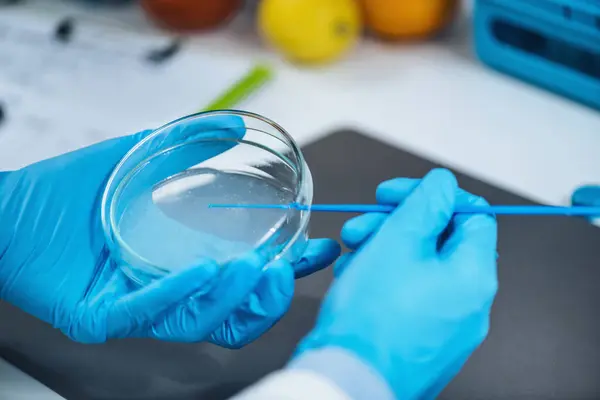Food Safety Testing in Microbiology Laboratory  Microbiologist inoculating nutritive agar, looking for presence of pathogens and signs of spoilage