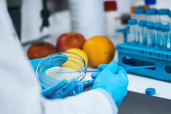 Gıda Güvenliği Testi Mikrobiyoloji Laboratuvarı Mikrobiyoloğu Besleyici Tarım Aşısı Yapıyor — Stok fotoğraf