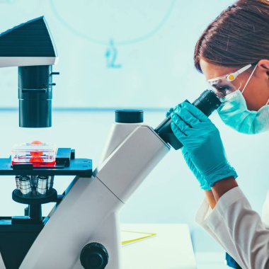 Biyoloji araştırmacı mikroskop arıyor