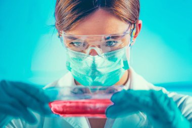 Hücre kültür şişesi teftiş biyoteknoloji mühendisi