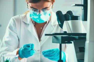 Sahne Alanı'nda mikroskop slayt yerleştirerek bir laboratuvarda çalışan bilim adamı