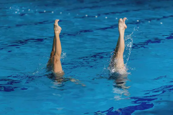 Synchronizowany Duet Pływacki Tańczący Lśniących Wodach Basenu — Zdjęcie stockowe