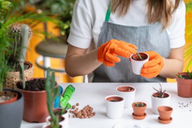 Bir kadın kendi bahçesine tohum eker, özen ve adanmışlıkla büyümeyi ve güzelliği teşvik eder.