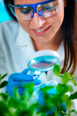 Büyüteç ile örnekleri inceleyerek biyolog.