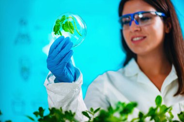 Petri kabına örnekleri inceleyerek biyolog