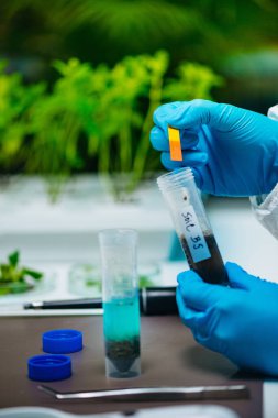 Biyolog laboratuarda toprak asitliliğini inceliyor. 