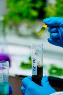 Biyolog laboratuarda toprak asitliliğini inceliyor. 