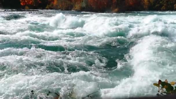 나이아가라 폭포는 캐나다의 지역에서 무지개 인기있는 관광지이다 호수로 들어가는 폭풍우치는 — 비디오