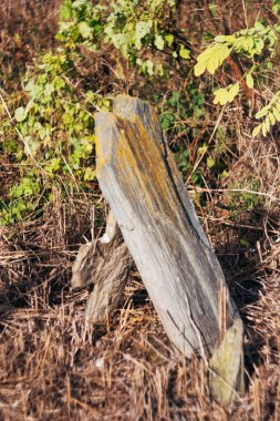 Balkanlar 'daki ilk vampirin yaşadığı Kisilthe Sırbistan' daki eski mezarlıkta tarihi mezarlar