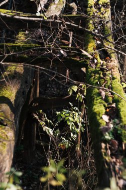 Sırbistan 'ın Kisilthe köyündeki küçük nehrin kıyısındaki eski ahşap köprü yıkıldı