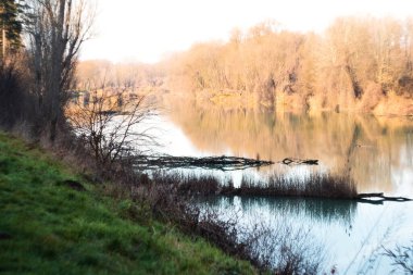 Reflection of trees in the Danube river in Ilok Croatia on a sunny winter morning