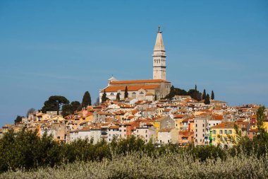 Hırvat Akdeniz kıyılarının tarihi kenti - eski Rovinj Istria kasabası Hırvatistan