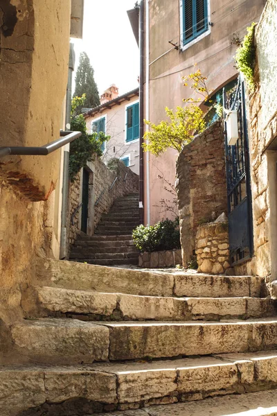 Vista Histórica Ciudad Postal Hermosa Calle Estrecha Rovinj Medieval Croacia — Foto de Stock