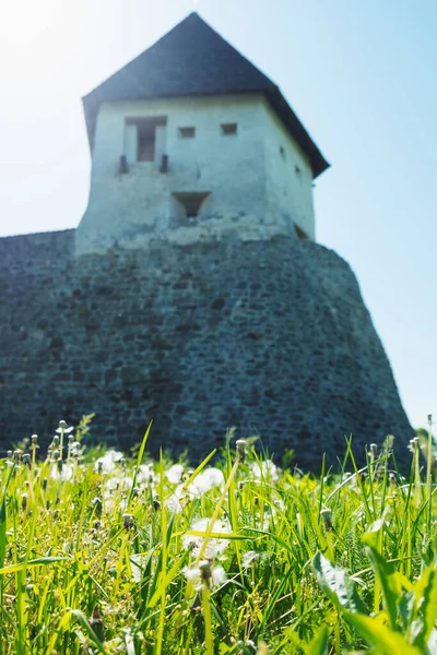 Παλιό Κάστρο Στην Hrvatska Kotajnica Της Κροατίας — Φωτογραφία Αρχείου