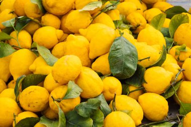 Puglia İtalya pazarında limon yığını.