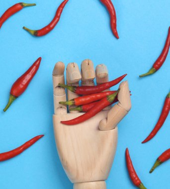Ahşap el mavi arka planda kırmızı biber tutuyor.