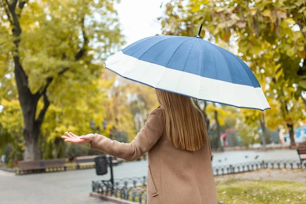 Mulher Moda Com Guarda Chuva Verifica Chuva Com Mão Parque — Fotografia de Stock