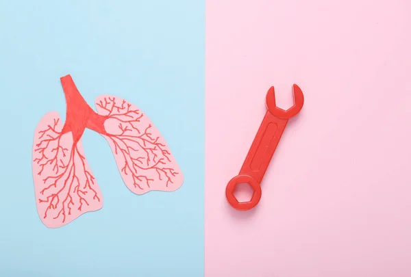 Treatment of pulmonary diseases. Anatomical lungs with a wrench on a blue-pink pastel background