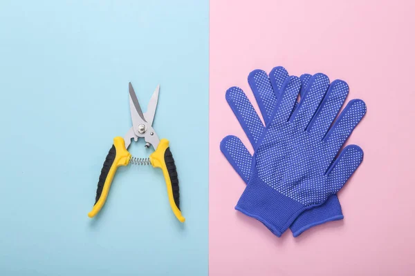 Stock image Garden pruner with work gloves on pink blue background. flat lay. top view