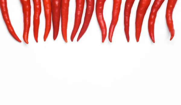 Красный Перец Чили Изолирован Белом Фоне Пространством Текста — стоковое фото
