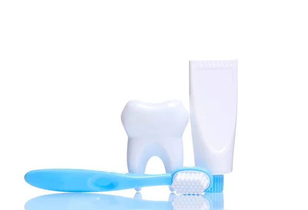 Dental care concept. Toy model of tooth, toothbrush with toothpaste isolated on white background with reflection