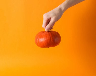 Turuncu arka planda balkabağı tutarken