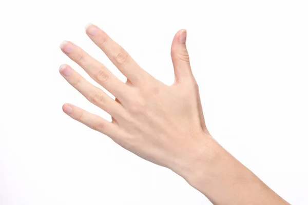 Γυναικείο Χέρι Δείχνει Πέντε Δάχτυλα Που Απομονώνονται Λευκό Φόντο — Φωτογραφία Αρχείου