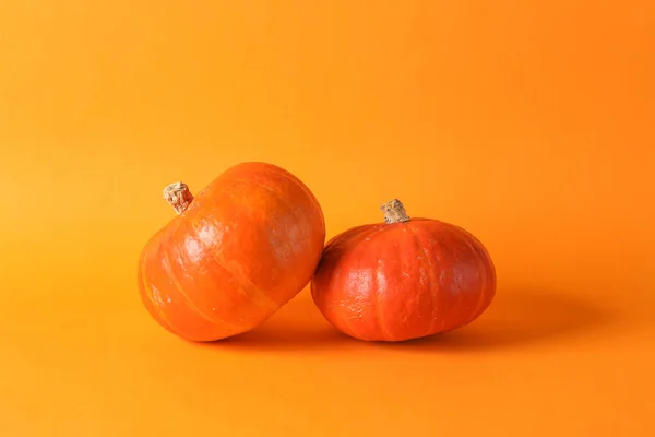 stock image Pumpkins on orange background. Autumn harvest, Halloween symbol. Minimal still life