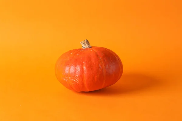 stock image Pumpkin on an orange background. Autumn harvest, Halloween symbol. Minimal still life