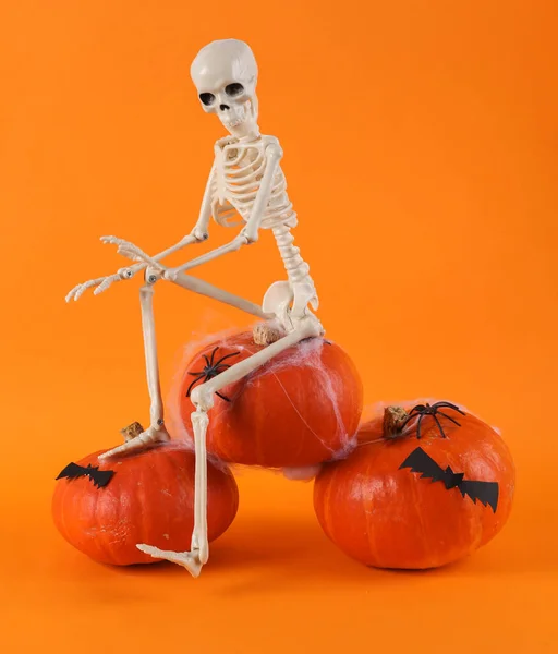 Esqueleto Calabazas Con Telaraña Murciélagos Sobre Fondo Naranja Mínimo Halloween — Foto de Stock