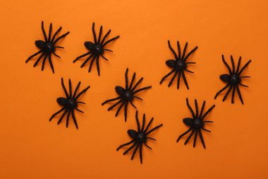 Turuncu arka planda plastik örümcekler. Cadılar Bayramı dekoru. Üst görünüm