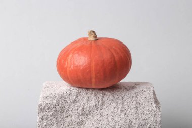 Minimal abstract still life with pumpkin on stone, gray background