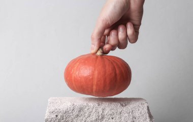 Minimal abstract still life with hand holding pumpkin on stone, gray background